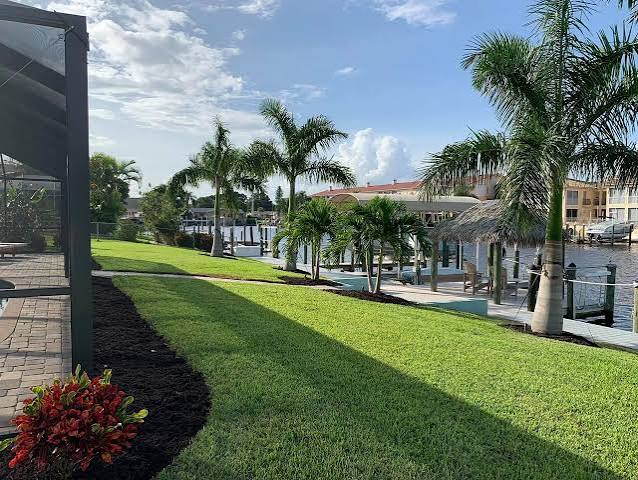 Bermuda vs Zoysia vs St. Augustine for Home Lawns