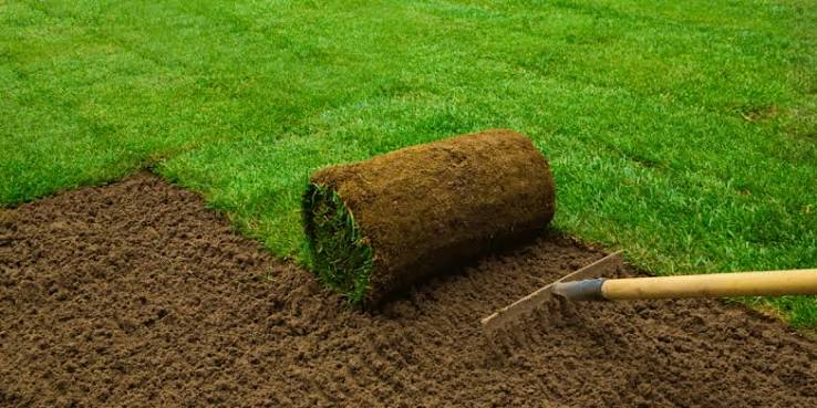 Common Sod Installation Mistakes and How to Avoid Them