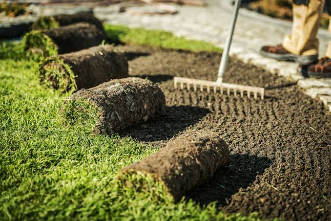 How Much Does Sod Installation Cost for a Typical Lawn?
