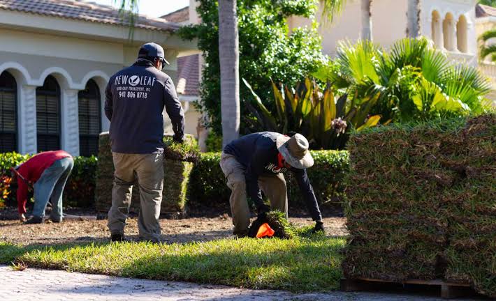 How to Fix Seams, Gaps, and Uneven Sod After Installation