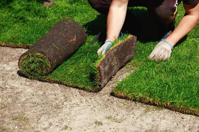 How to Lay Sod Step by Step