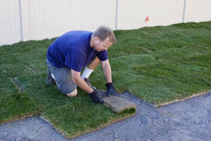 How to install sod correctly — The Complete Guide