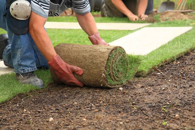 How to prepare soil for sod installation