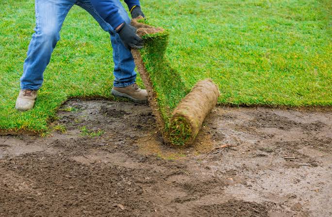 How to water new sod after installation
