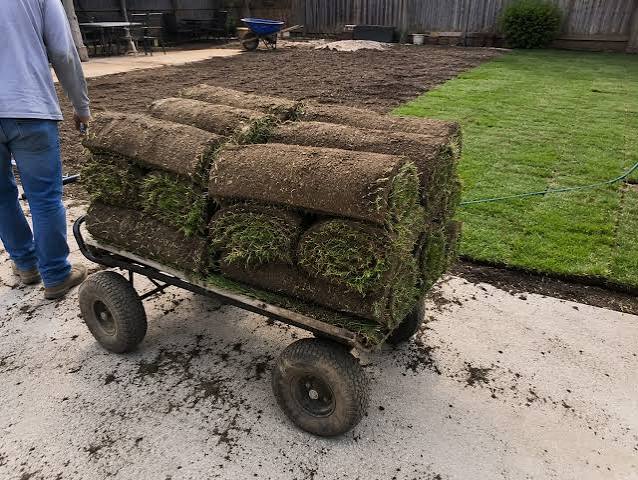 Sod Installation Cost: What You Should Expect to Pay by Square Foot, Pallet, and Labor