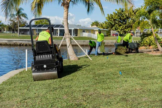 Sod Installation Cost and Project Planning — The Complete Guide