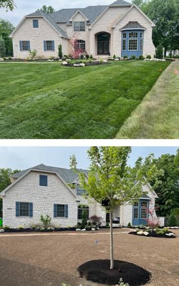 Sod vs Seed: Which Is Cheaper for a New Lawn?