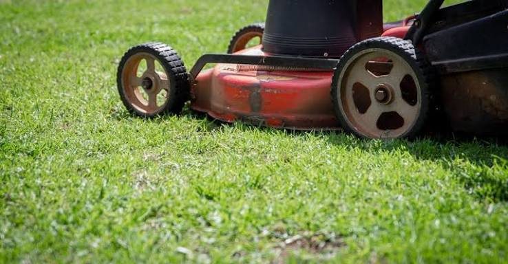 Warm-Season vs Cool-Season Sod: Which One Fits Your Region?