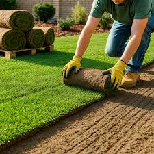 What affects sod installation pricing: yard size, removal, grading, and access