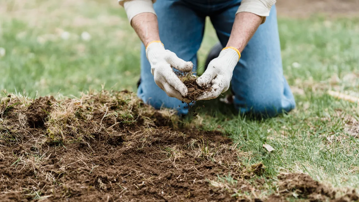 Person kneeling with a sod patch beside a lawn opening