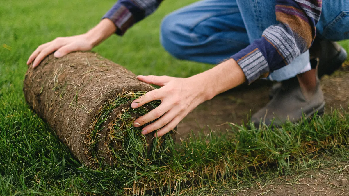 hands rolling out a strip of sod